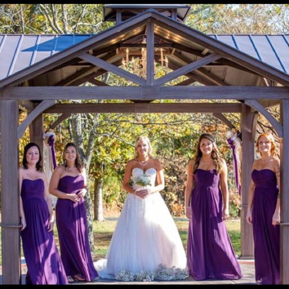 David’s bridal F15555 plum dress